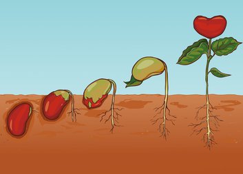 Charita Olomouc vyhlásila sbírku Luštěnina pomáhá