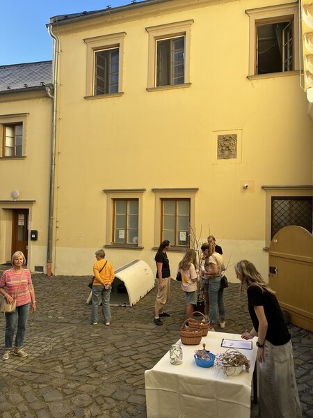 IMG_5589 IMG_5589